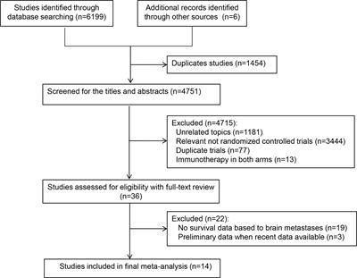 Brain Metastases Status and Immunotherapy Efficacy in Advanced Lung Cancer: A Systematic Review and Meta-Analysis